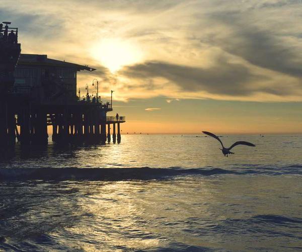 关于我们的团队